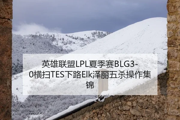 英雄联盟LPL夏季赛BLG3-0横扫TES下路Elk泽丽五杀操作集锦